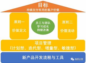 研发项目管理在教育项目中的实践与策略